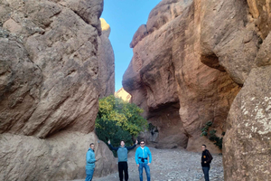 Marrakesch: 2-tägige Tour nach Ait Ben Haddou, Rose & Dades Valley