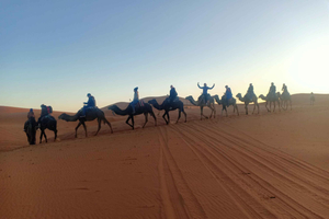 4-Day Marrakech Atlas Mountains & Sahara Desert Tour