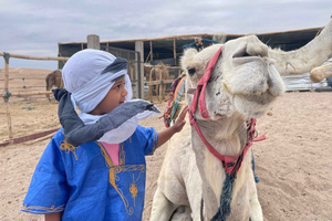 Balade à dos de dromadaire dans le désert Palmeraie Marrakech