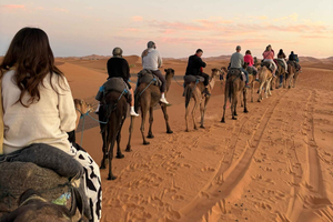Desert Sunset Camel Ride with dinner and show small group