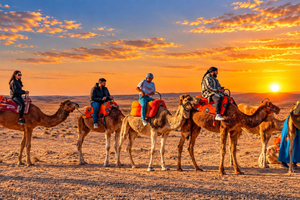 Desert Sunset, Dinner show, Quad Bike, Camel Ride