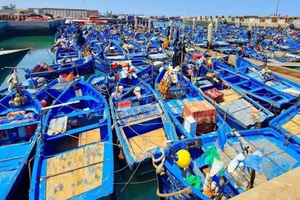 Essaouira Explorer: Full-Day Group Lux Tour from Marrakech