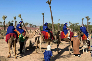 Explore the Palm Grove by Camel with Tea Break