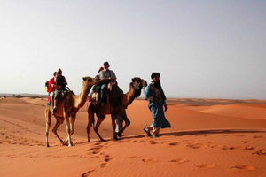 From Fes: 2-Day Luxury Desert Tour to Marrakech & Back Fez