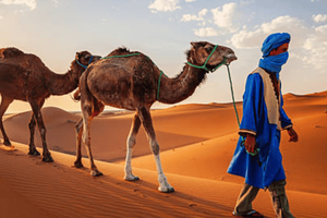 Fra Fes: 2-dagers rundtur via Merzouga-ørkenen og kameltur