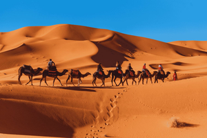 Fra Fes: 3-dagers kameltur i ørkenen via Merzouga til Marrakech