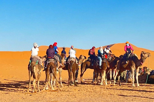 Desde Fez: tour de lujo de 3 días a Marrakech pasando por Merzouga