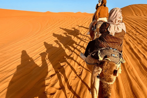 Fra 3-dagers tur i Sahara-ørkenen og kameltrekking