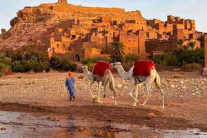 Ait-Ben-Haddou e Kasbah di Telouet: tour privato da Marrakech