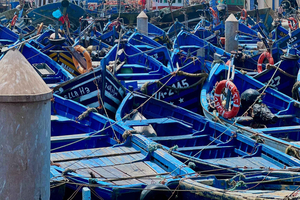 Au départ de Marrakech : Excursion d'une journée à Essaouira avec transferts