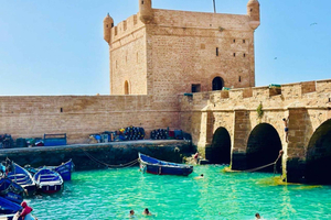 Fra Marrakech: Dagstur til Essaouira med strandaktiviteter