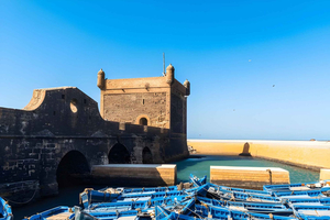 Fra Marrakech: Essaouira dagstur med kamel, hest og firehjuling