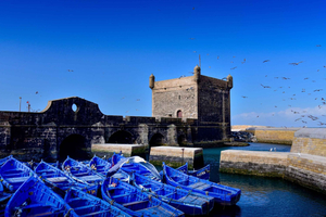 From Marrakech: Essaouira Small-Group Day Trip