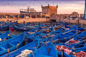 Da Marrakech: escursione di un giorno in piccolo gruppo a Essaouira e Sekkala