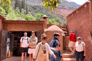 Fra Marrakesh: privat dagstur i Atlasfjellene {5-daler}