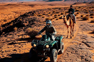 Marrakesh: Agafay-ørkenen med firhjuling og kamelritt, middag og show