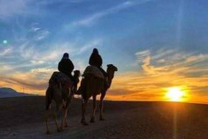 Marrakech: Tur til Agafay-ørkenen med aktiviteter og middag