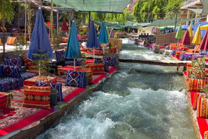 Marrakech: Montagne dell'Atlante, cascate, Valle dell'Ourika + pranzo
