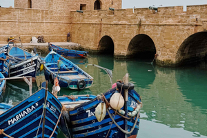 Excursion d'une journée à Marrakech : découvrez Essaouira et la côte de Sekkala