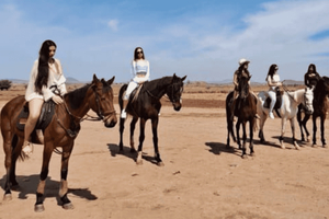 Marrakech: Desert and Palmeraie Horse Riding Tour & Transfer