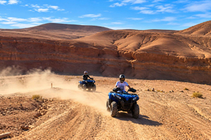 cena con spettacolo nel deserto, giro in quad, cammello, tramonto e stelle