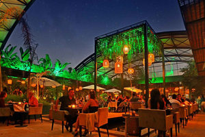 Marrakech : Dinner Show at Nouba Restaurant