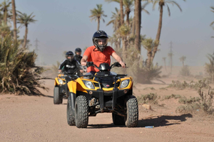 Marrakech:excursion quad in Oasis palm & jbilat desert,tea