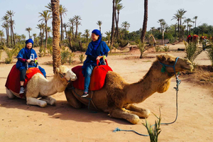 Marrakech Palmeraie: Camel Ride & Quad Bike Experience