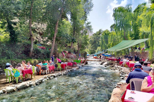 Marrakech : Privato per la Valle dell'Ourika e le montagne dell'Atlante & Pranzo