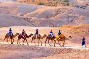 Marrakech: Quad e cammelli al tramonto e cena con spettacolo del fuoco
