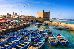Marrakech: Small Group to Essaouira Day Tour, Unesco & Beach