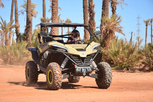 Marrakech: Tur med buggy i palmeoasen og Jbilat-ørkenen