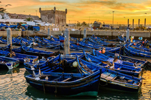 ✅️ Marrakesh To Essaouira: Atlantic Vibes Full-Day Escape