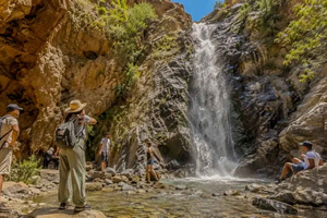 cascata dell'Ourika, Monti dell'Atlante e pranzo premium