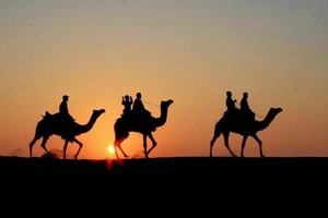 Marrakesh: Kamelridning ved solnedgang og tradisjonell middagsopplevelse