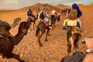 Désert de Zagora : 2 jours et 1 nuit d'expédition dans le désert à ne pas oublier