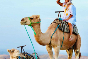 Marrakech: Agafay-ørkenen på firhjuling og kameltur med middagsshow