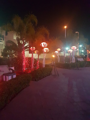 Cash arabic disco ديسكو