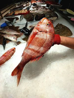 Fish Market
