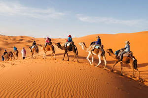 Desde tour privado de 4 días por las montañas del Atlas y el desierto