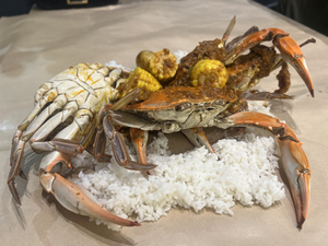 Hello crab