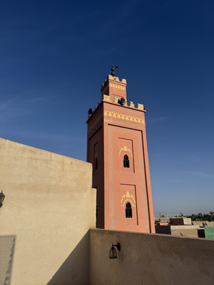 RIAD 111