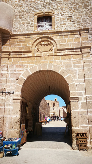 Riad Amira