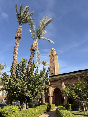 Riad Flouris in Marrakech