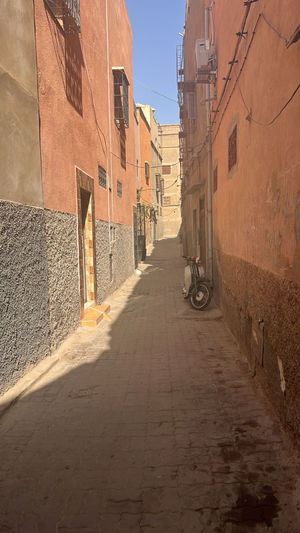 Riad Pourpre Medina