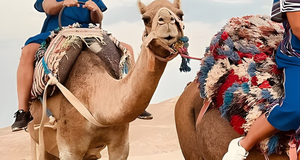 Camel Ride and Dinner under the Stars in the Agafay Desert 
