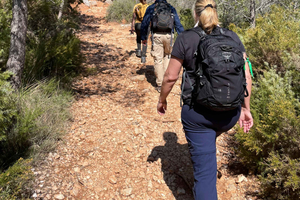Aix-en-Provence: A hike in the secluded beauty of Sainte-Victoire