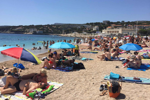 Cassis, Bandol, Le Castellet wine tour: Cliffs and Vineyards