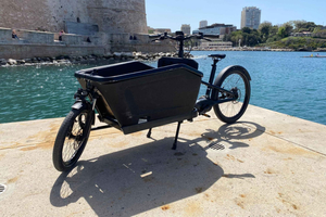 Family E-Cargo Bike Tour with Smart Guide