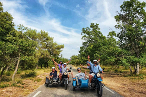 Ab Aix-en-Provence: 2-stündige Wein- und Landschaftstour im Seitenwagen